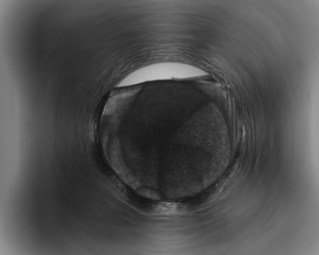 X0000096210227200802151508