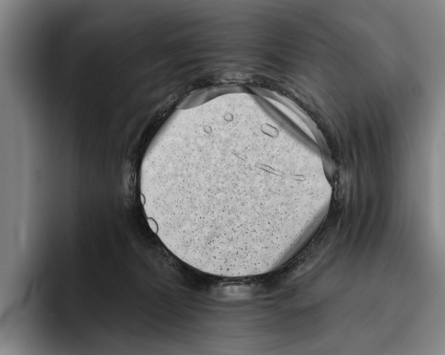 X0000096210228200802151508
