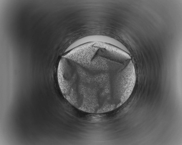 X0000096210229200802151508