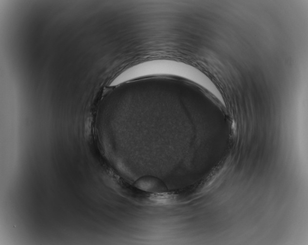 X0000096210231200802151508