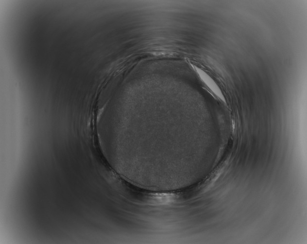 X0000096210233200802151508