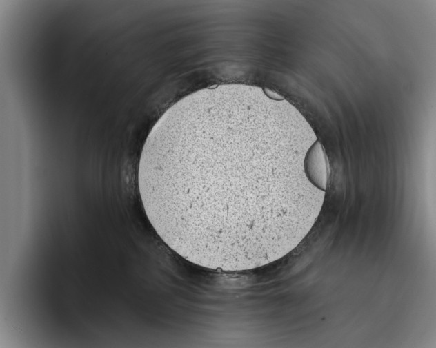 X0000096210234200802151508