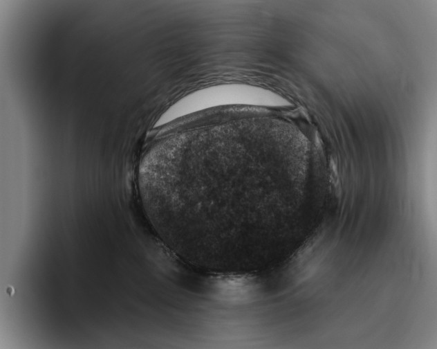 X0000096210235200802151508