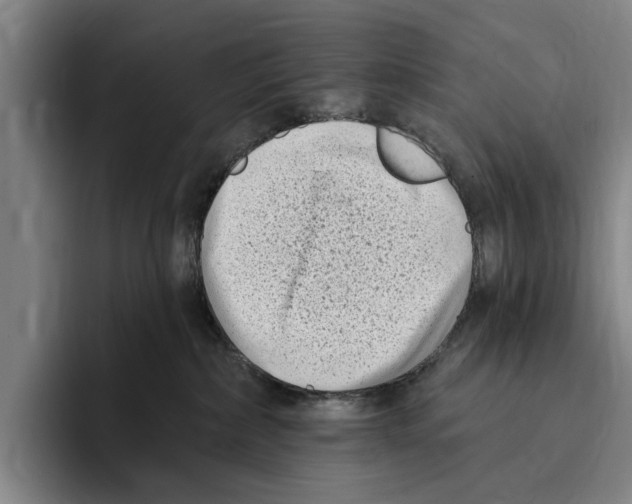 X0000096210236200802151508