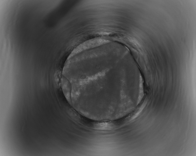 X0000096210237200802151508