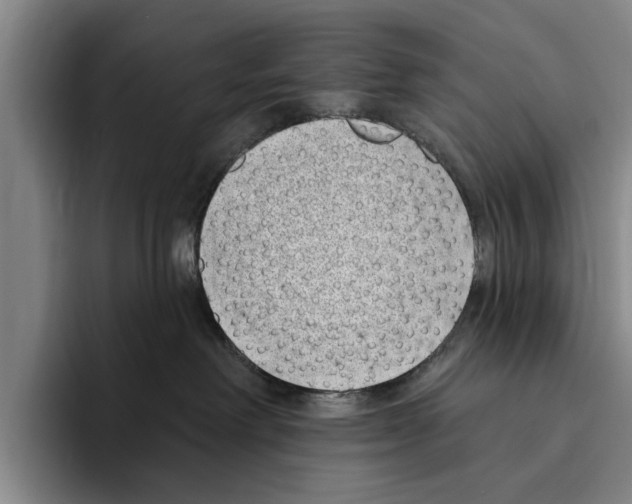 X0000096210238200802151508