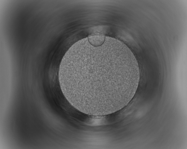 X0000096210240200802151508