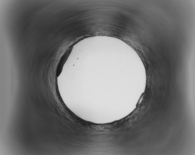 X0000096210241200802151507