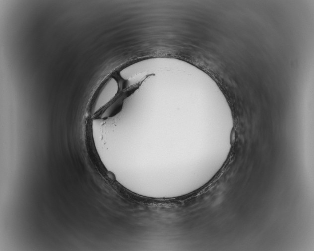 X0000096210242200802151508