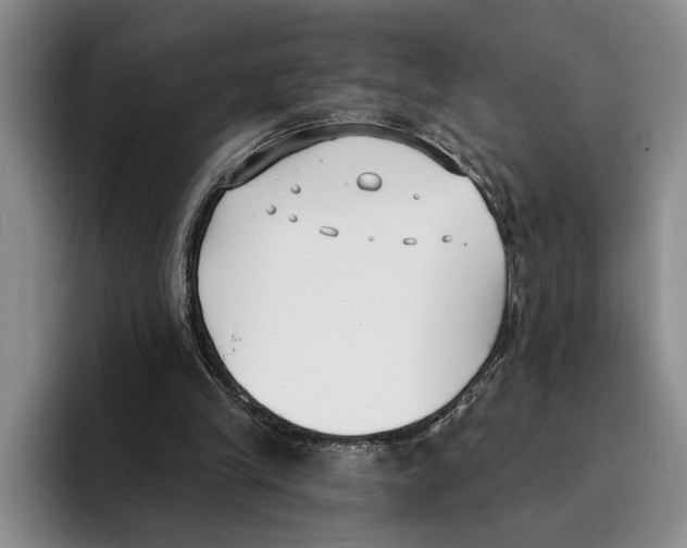 X0000096210245200802151508