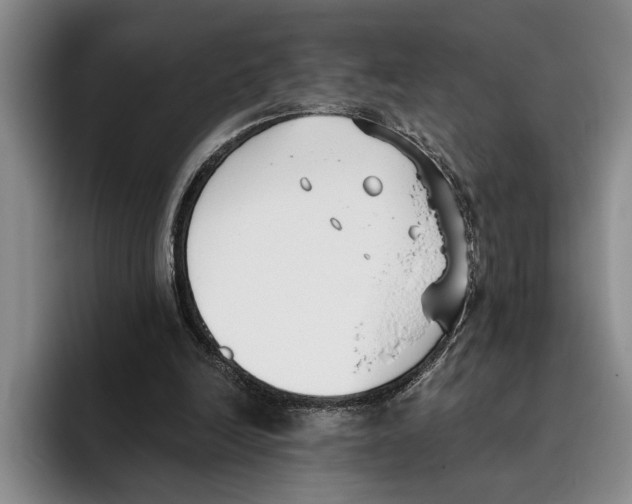 X0000096210246200802151508