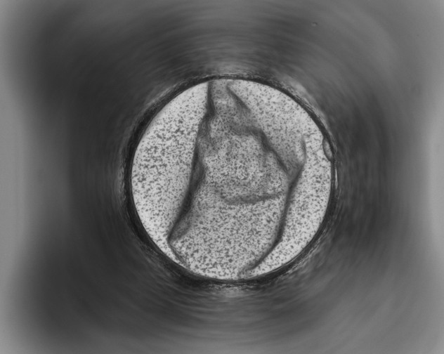 X0000096210249200802151508
