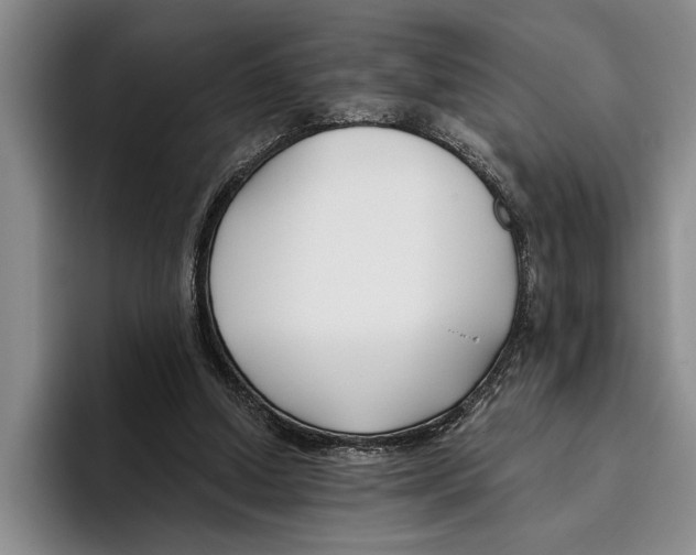 X0000096210250200802151508