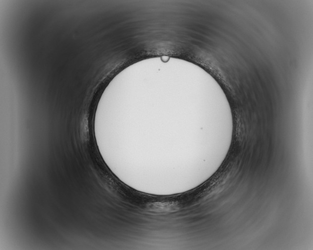 X0000096210251200802151508