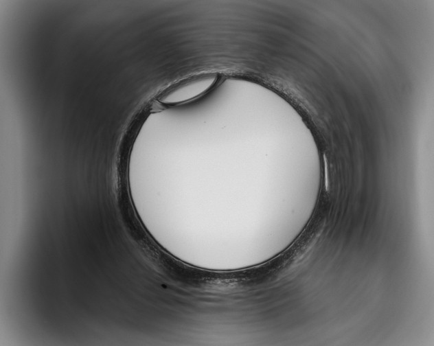 X0000096210252200802151508