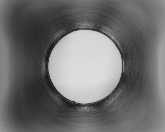 X0000096210253200802151508