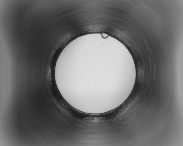 X0000096210254200802151508
