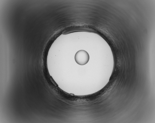 X0000096210256200802151508