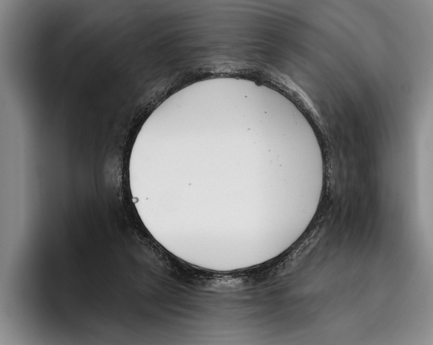 X0000096210257200802151508