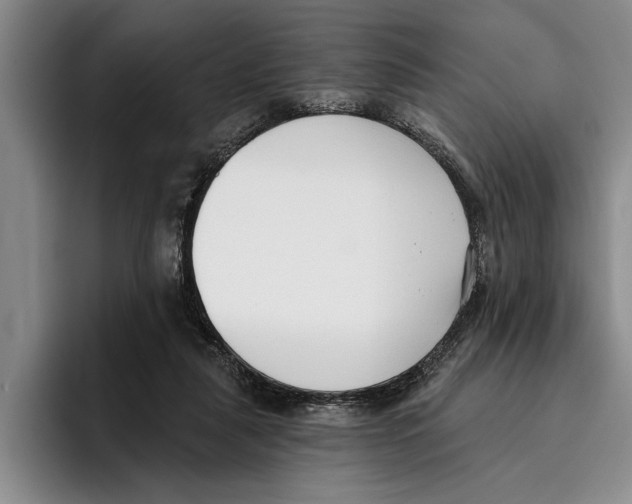 X0000096210259200802151508