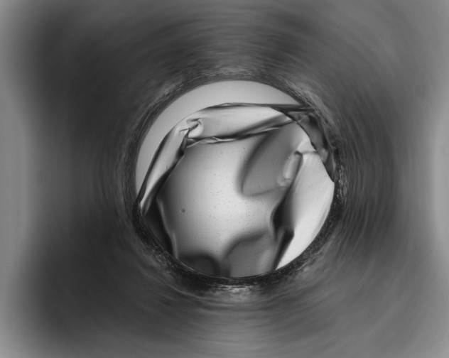 X0000096210260200802151508