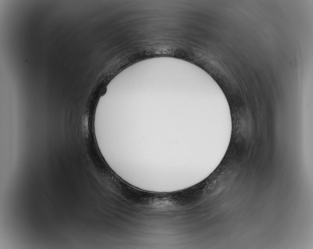 X0000096210262200802151508