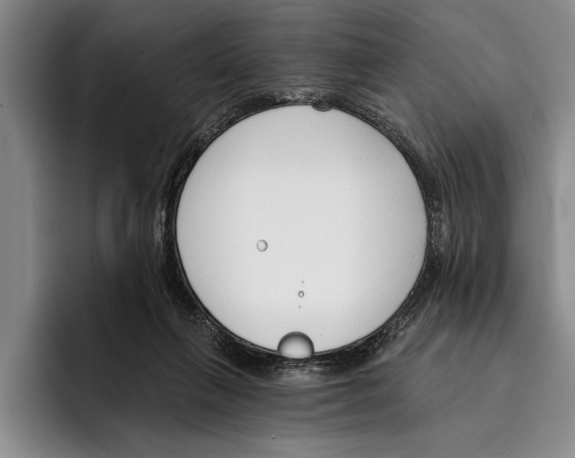 X0000096210263200802151508