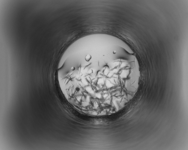 X0000096210264200802151508