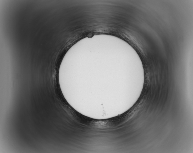 X0000096210265200802151508