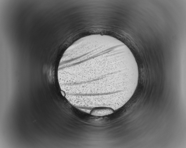 X0000096210267200802151508