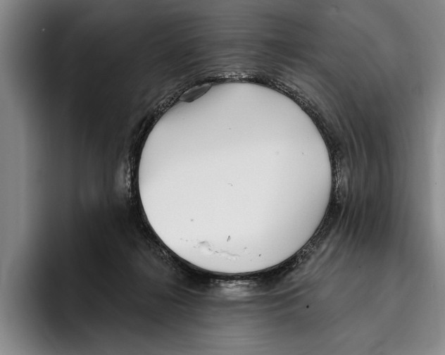 X0000096210268200802151508
