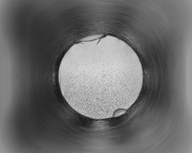 X0000096210269200802151508