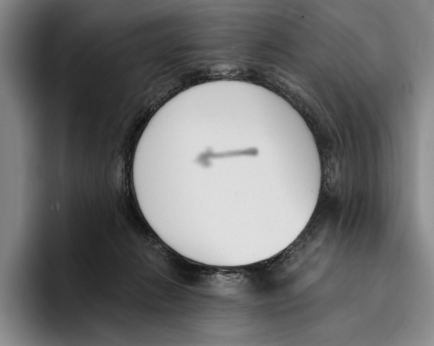 X0000096210270200802151508