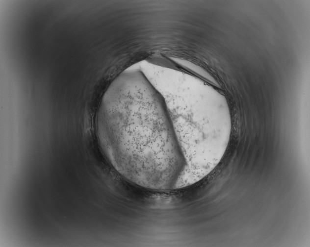 X0000096210272200802151508