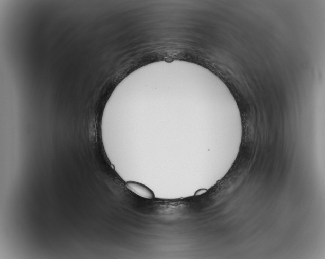 X0000096210274200802151508