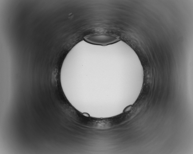 X0000096210275200802151508