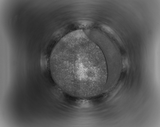 X0000096210276200802151508