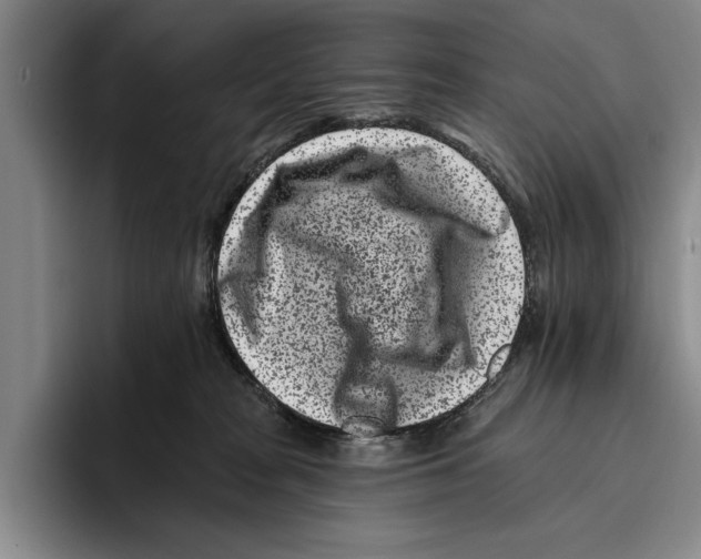 X0000096210277200802151508