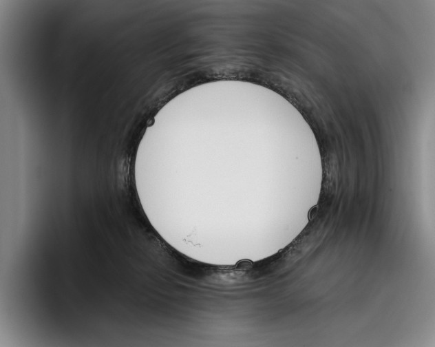 X0000096210278200802151508
