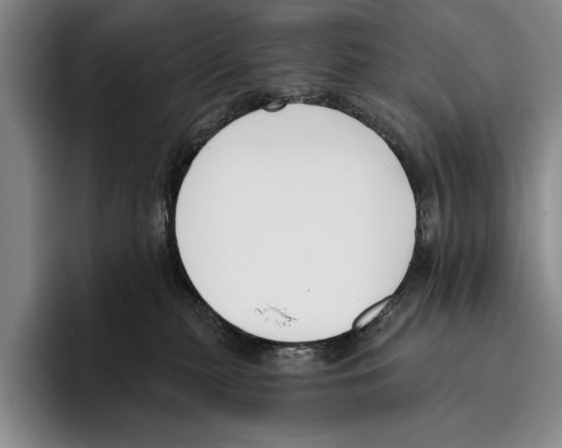 X0000096210279200802151508