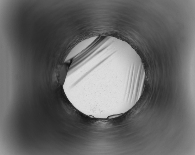 X0000096210280200802151508