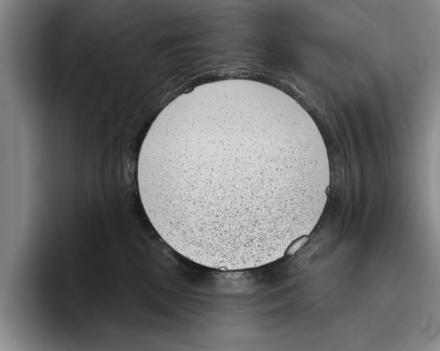 X0000096210281200802151508