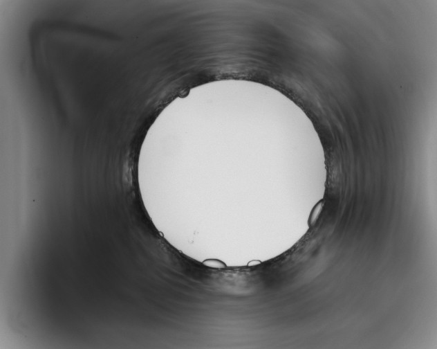 X0000096210282200802151508