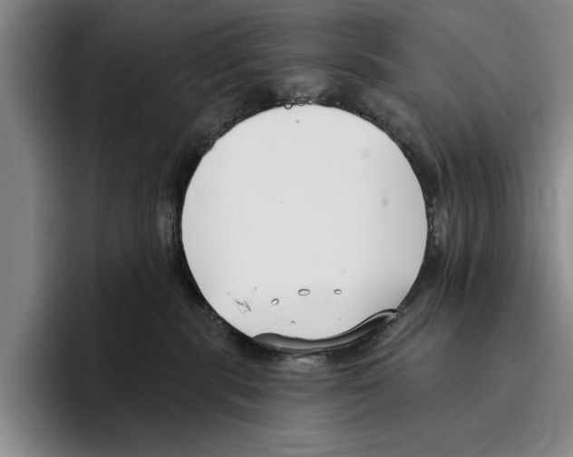 X0000096210283200802151508