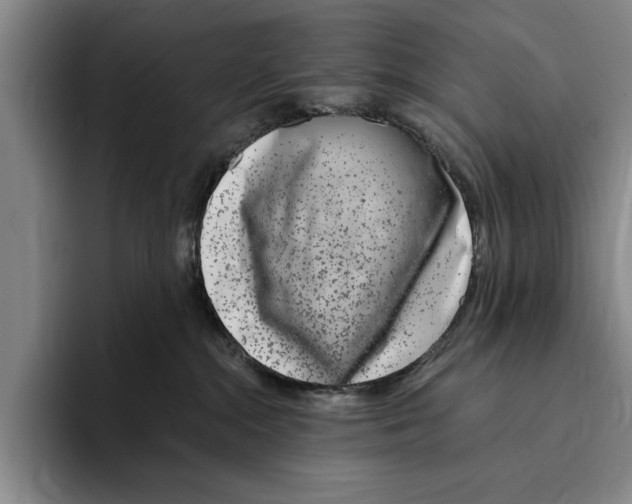X0000096210284200802151508