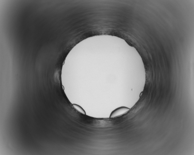 X0000096210286200802151508