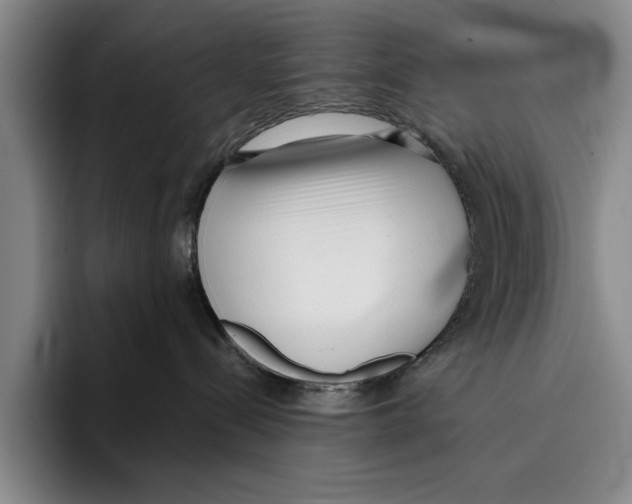 X0000096210288200802151508