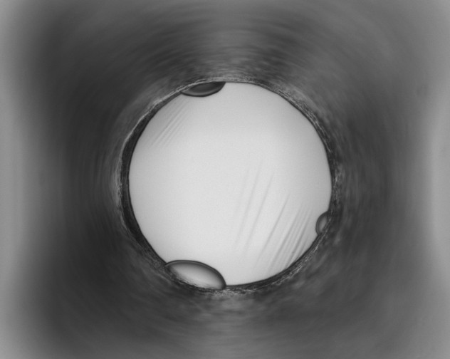 X0000096210290200802151507