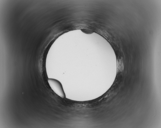 X0000096210291200802151507