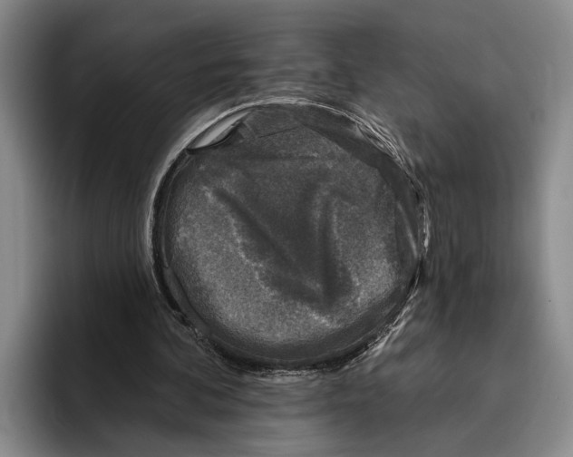 X0000096210292200802151507
